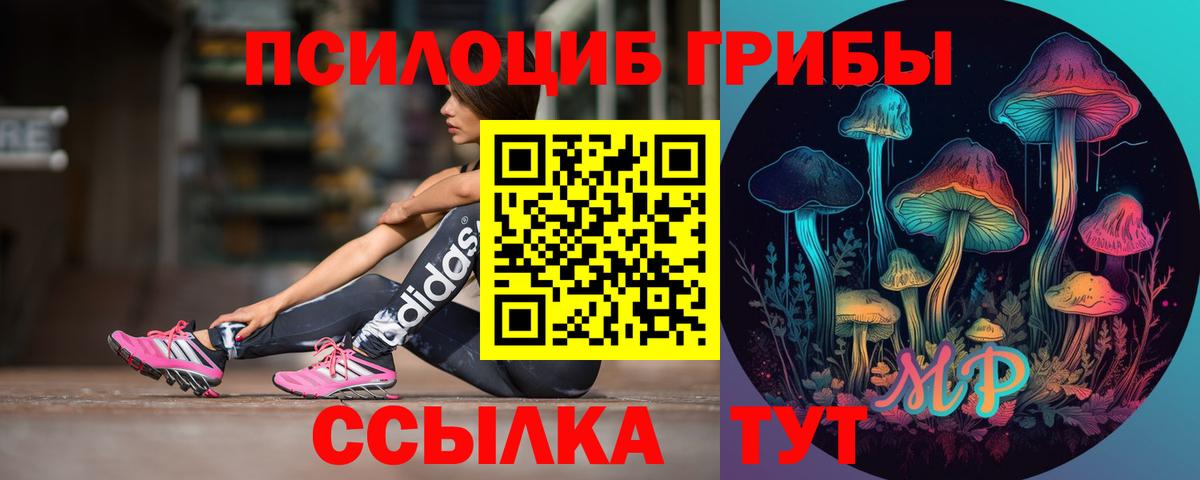 Знаменск  Псилоцибиновые грибы Psilocybe  хочу   Вход с VPN 