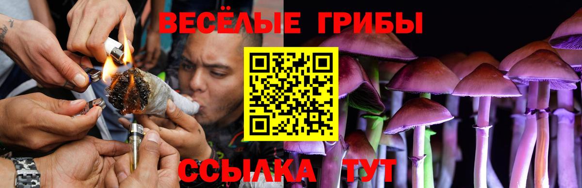 Псилоцибиновые грибы GOLDEN TEACHER Знаменск